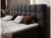 Boxspring postelja CAMMA